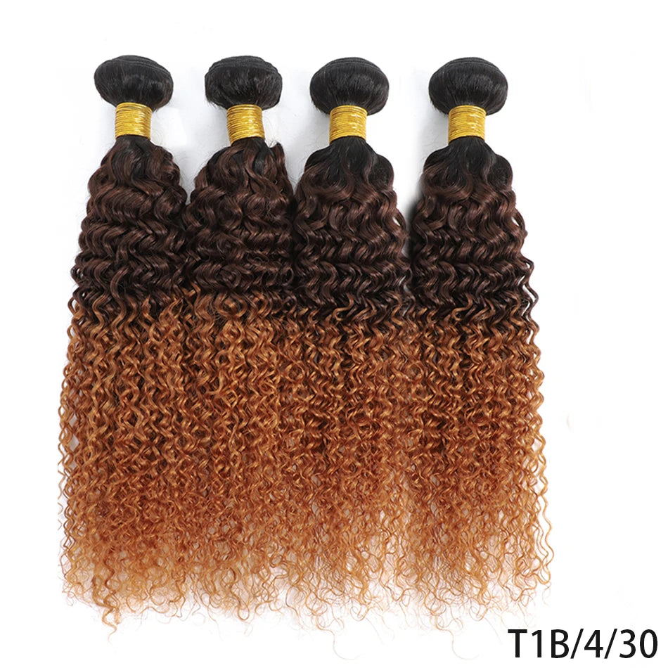 Kinky Curly Ombre Hair Bundles – Brazilian Remy Human Hair | Natural, T1B/30 & T1B/4/30 | 8–32 Inches