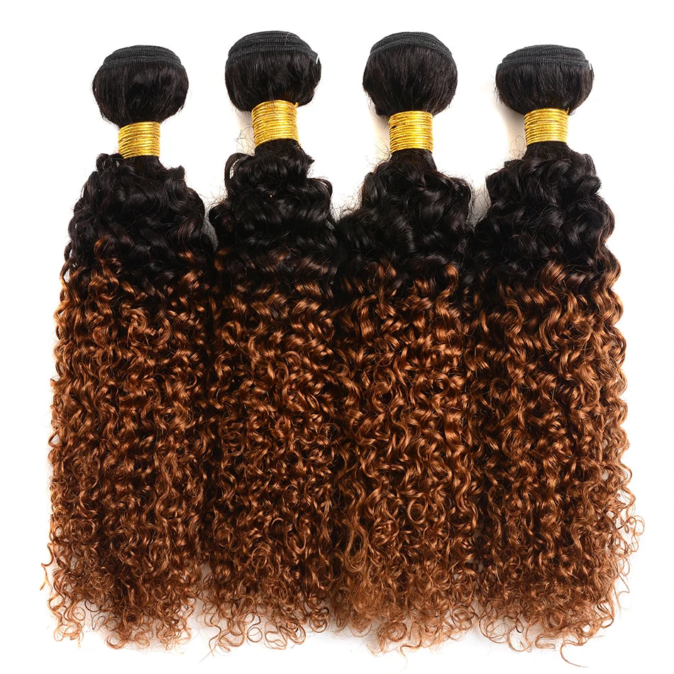 Kinky Curly Ombre Hair Bundles – Brazilian Remy Human Hair | Natural, T1B/30 & T1B/4/30 | 8–32 Inches